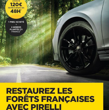 RESTAUREZ LES FORÊTS FRANCAISES AVEC PIRELLI !